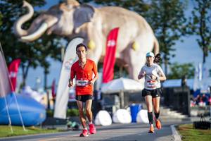 BIB: 
                            <button type="button" onclick="openModal(26541384)" class="btn btn-primary btn-sm float-right btn-popup" data-toggle="modal" data-target=".modal-high-quality">
                        <i class="fas fa-shopping-cart"></i> Add to Cart
                    </button>
                                            <button type="button" onclick="isThisMe(26541384, true)" class="btn btn-success btn-sm float-right btn-popup btn-isme hidden" data-toggle="tooltip" data-placement="bottom" title="นี่คือรูปของคุณใช่ไหม คลิกที่นี่เพื่อเอาเข้าอัลบั้ม">
                        <i class="fas fa-plus"></i> Add to album
                    </button>
                    <button type="button" onclick="isThisMe(26541384, false)" class="btn btn-warning btn-sm float-right btn-popup btn-isnotme hidden">
                        <i class="fas fa-ban"></i> Remove from album
                    </button>